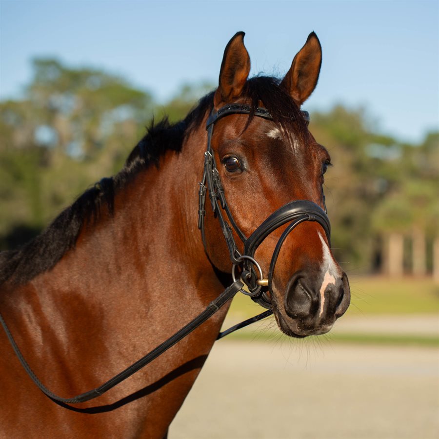 Bride De Cheval Equinavia VALKYRIE Chocolat – Modèle Chasseur Avec Rênes, Taille Cheval