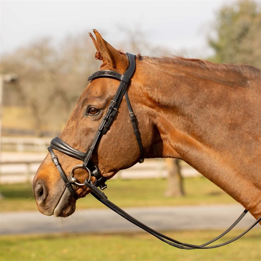 Rênes Equinavia Valkyrie ''Easy Grip'' - Brun chocolat