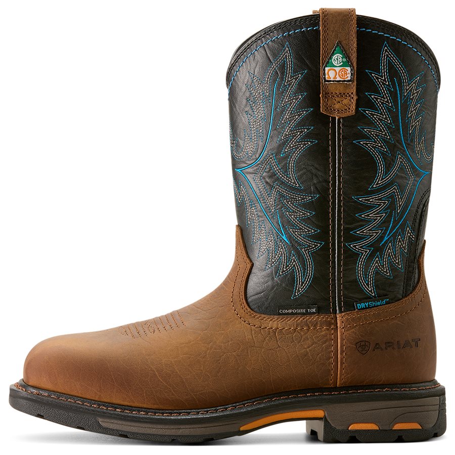 Botte Cowboy Ariat Homme - Chaussures