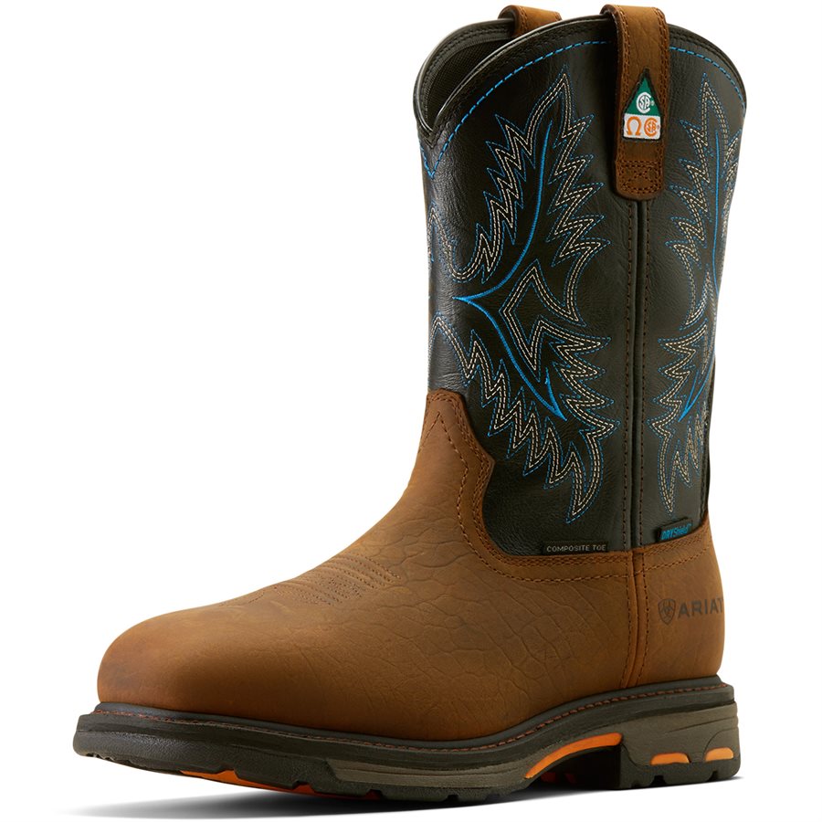 Bottes Western Cowboy Ariat Homme – Noires, Brodées, Taille 10 D, Cuir, Occasion