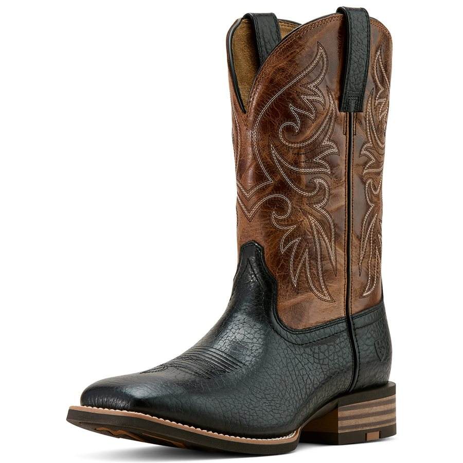Bottes paddock zippées Ariat Volant Show neuves - Noir - Style 10009518