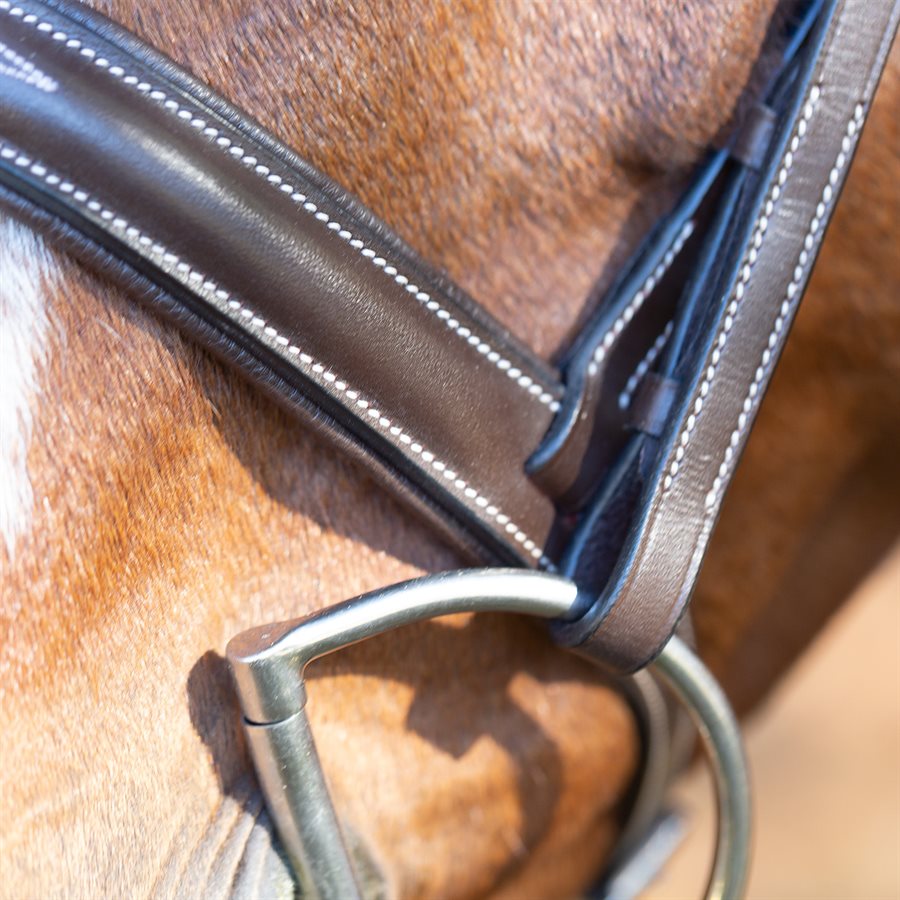 Exion Bride anglaise sans mors avec rênes pour cheval | Bride croisée