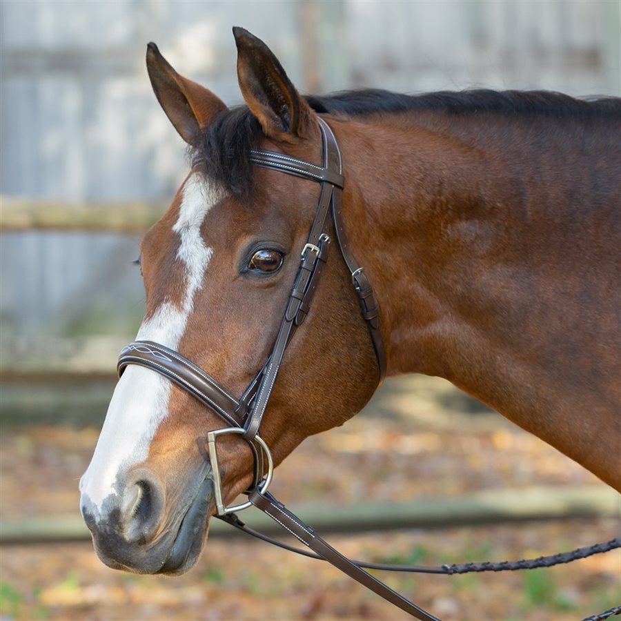 Bride de Hunter Equinavia Valkyrie avec Rênes - Brun Chocolat