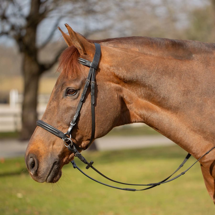 Rênes Equinavia Valkyrie ''Easy Grip'' - Brun chocolat