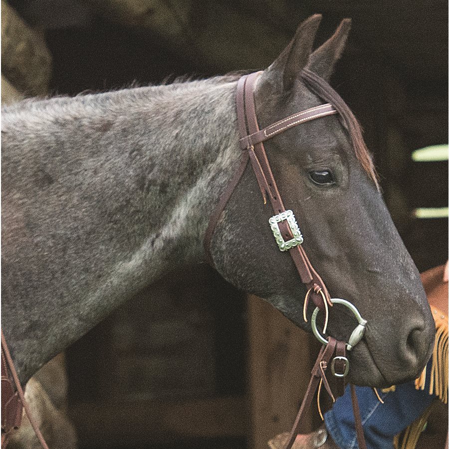 Les chevaux de nos rêves: Western powaa