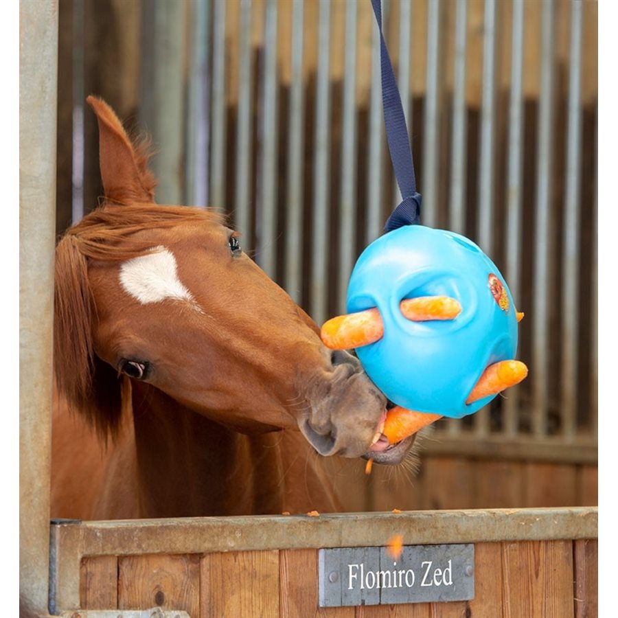 Ballon de jeu pour chevaux QHP