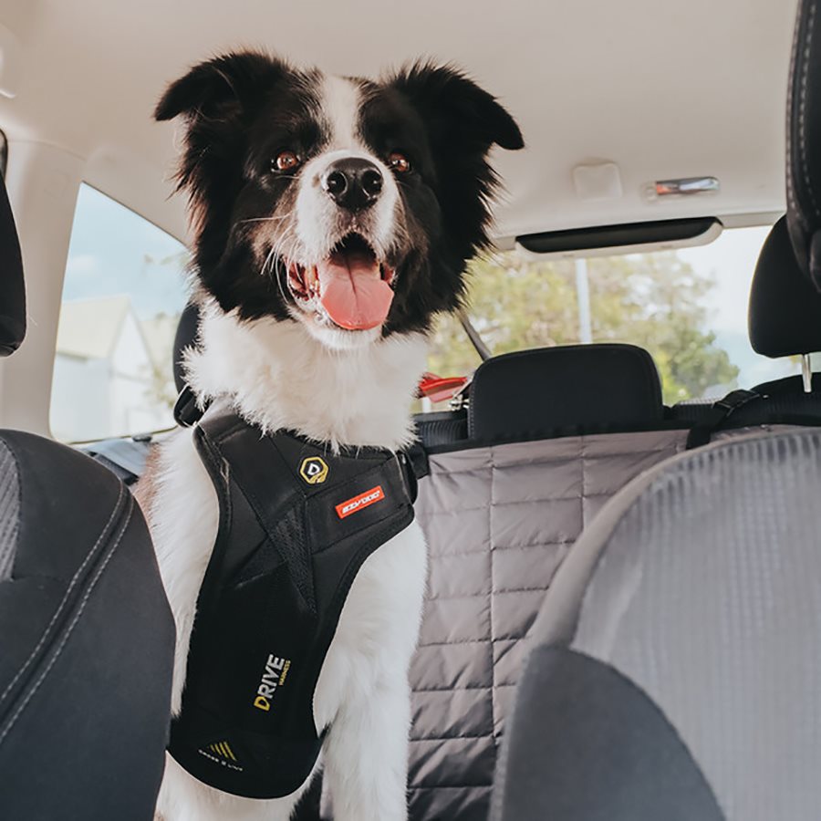 EzyDog Drive Dog Car Harness - Black