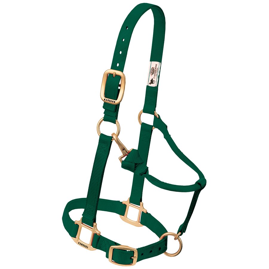 Licol Weaver Leather – Nylon Turquoise, Non Réglable, 2,5 Cm, Pour Grand Cheval, Matériel Laiton