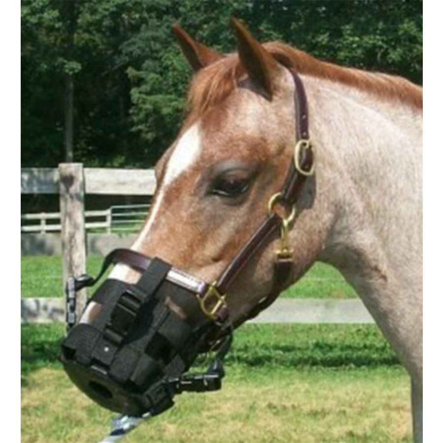 Muselière De Pâturage Best Friend – Standard Noir, Taille Cheval, BF07S Neuve